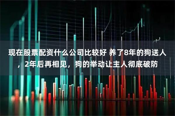 现在股票配资什么公司比较好 养了8年的狗送人，2年后再相见，狗的举动让主人彻底破防