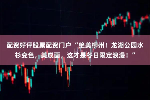 配资好评股票配资门户 “绝美柳州！龙湖公园水杉变色，美成画，这才是冬日限定浪漫！”