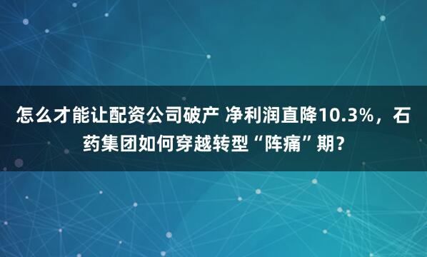 怎么才能让配资公司破产 净利润直降10.3%，石药集团如何穿越转型“阵痛”期？